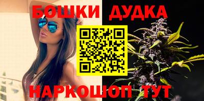 крисы Гудермес
